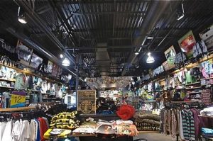Zumiez strategies for 2010 and beyond