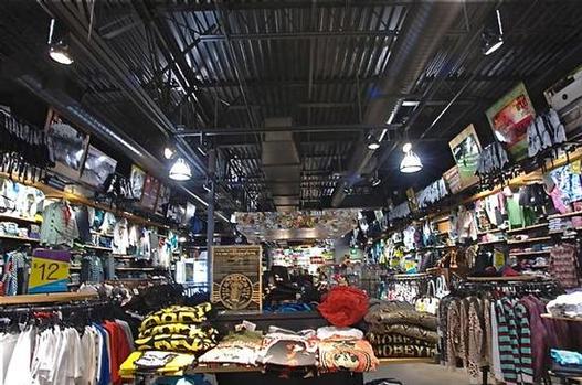 Zumiez strategies for 2010 and
