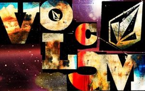Analyzing Volcom's annual report