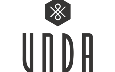 VNDA debuts holiday 2015 collection, new management team