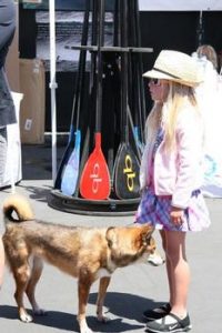 Kaenon Polarized's second SUP for a Pup netted funds and pets