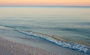 Surfrider takes action on oil spill