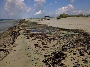 For some Gulf surf shops, from bad to worse