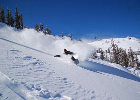 SIA Releases 2010 Snow Sports