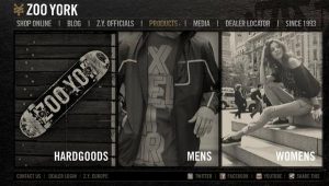 Iconix to acquire all of Zoo York