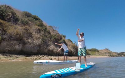 Boardworks Surf Acquires Global License Agreement to Rogue SUP and Surf Brand