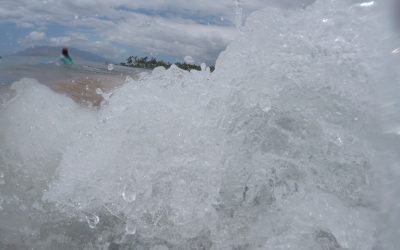 GoPro Reports Q1 Revenue up 19%