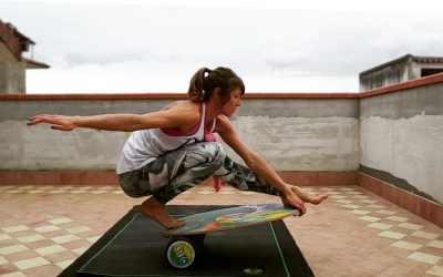 Indo Board Launches New Website