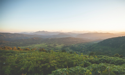 OIA Education: A Field Guide to Eco-friendly and Effective Printing