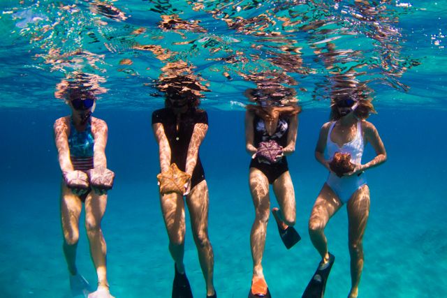 Rajäó»s SUP/Active swim brand NEXT is the companyäó»s largest and fastest growing brand