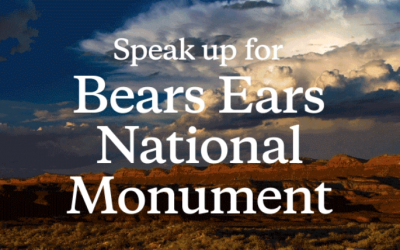 Patagonia Campaigns for Bears Ears Protection