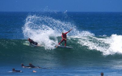 Surftech Partners with Sharp Eye Surfboards