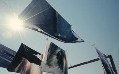 Slowtide X Banks Journal Present "A Maine point of view" with Nick Lavecchia