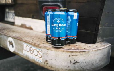 Patagonia Provisions Releases Long Root Ale