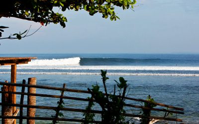 WSL Relaunches Japan Region as WSL Asia