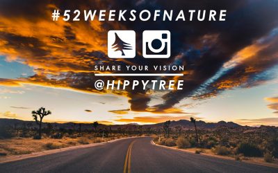HippyTree Launches #52weeksofnature Photo Contest