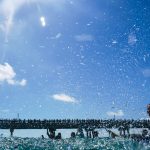 Photo by Zadline courtesy of Island Water Sports