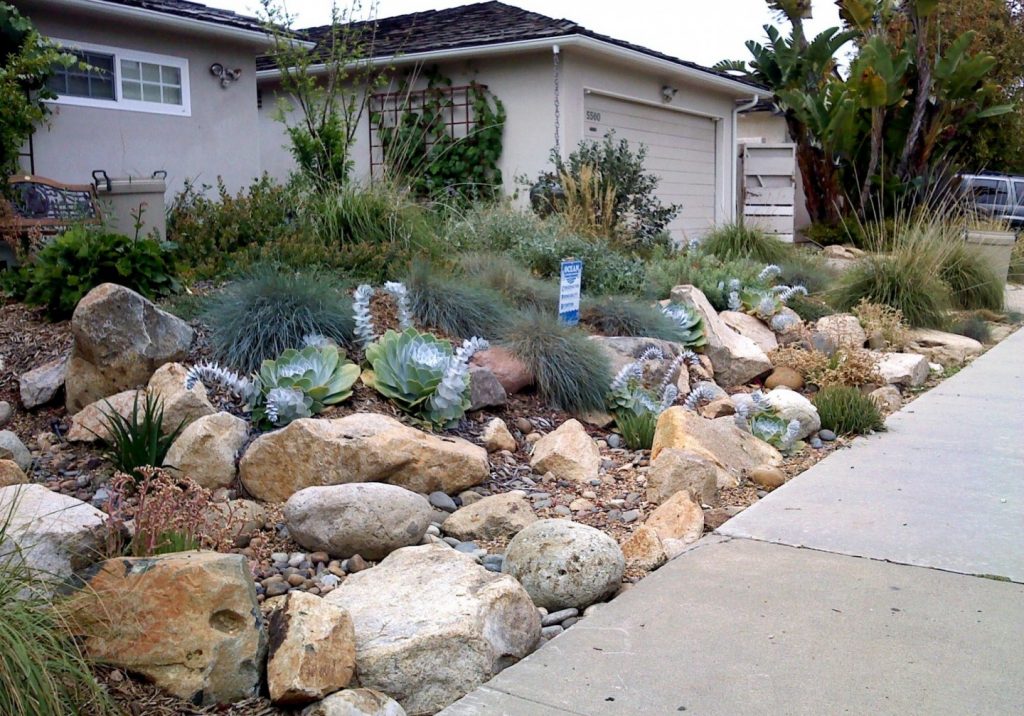 Surfrider's Ocean Friendly Gardens (OFG) Progra volunteer-run landscape education, hands-on training and advocacy program.