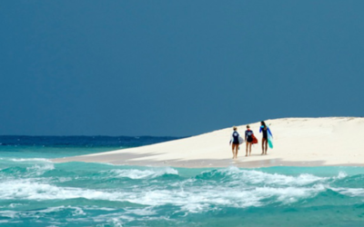 Facebook Marketing Lead Jennifer Spies Joins Surfrider Foundation’s Board
