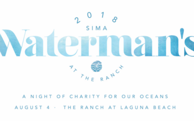 Preview Waterman’s Auction Items