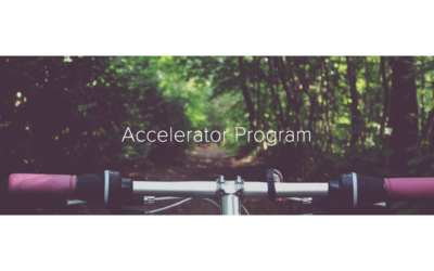 SDSI Expands Business Mentoring Programs