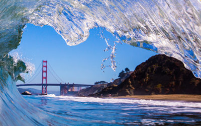Surfrider Foundation: Single-Use Plastic Victory in San Francisco