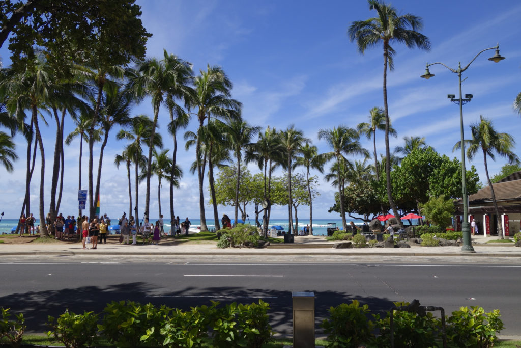 The view of "Canoes" from the store - Photos courtesy of Stokehouse