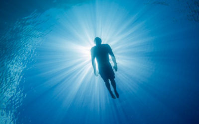 SHACC Teams Up with Ocean Warrior