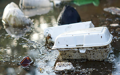 Action Alert: Ban Single-Use Plastic in California