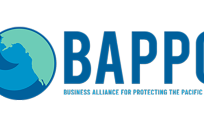 BAPPC Urges Speaker of the House Nancy Pelosi to Block Funding for Expanded Offshore Drilling