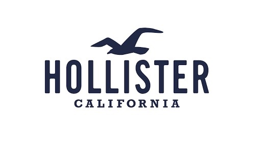 hollister logo resized
