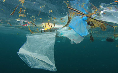 Plastic Pollution Policy Expert Jennie Romer Joins the Surfrider Foundation