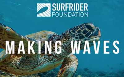 Making Waves: Fighting to Protect the Clean Water Act