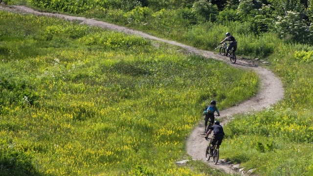 BV singletrack