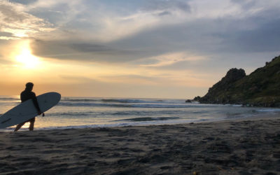 A Wave Worthy of Protection: Punta Conejo Campaign Update