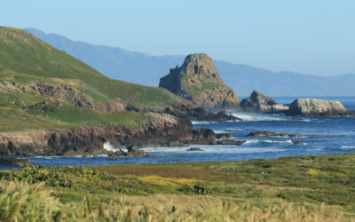 Save the Waves Coalition: Why We Protect Surf Ecosystems