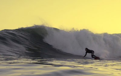 Score the Perfect Gift + Protect Our Coastlines