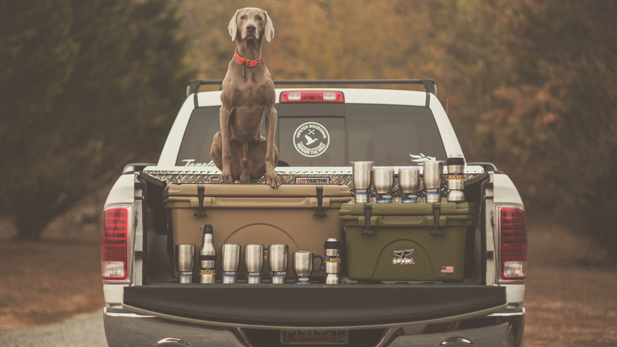 ORCA Truck HardSidedCoolersandDrinkware 11
