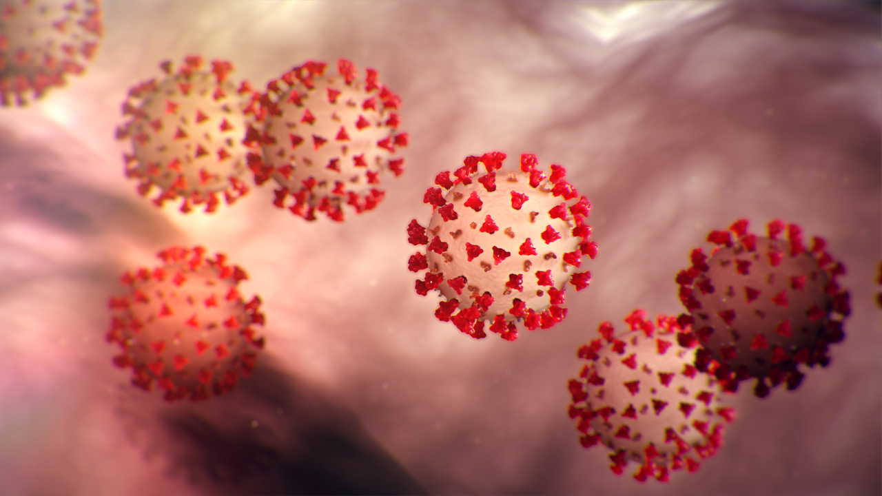 coronavirus CDC