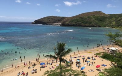 Hawaii Reimposes Restrictions as Cases Rise