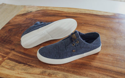 LAMO Creates Positive Change Nationwide