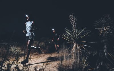 Roark CEO on Plans for New Performance Line