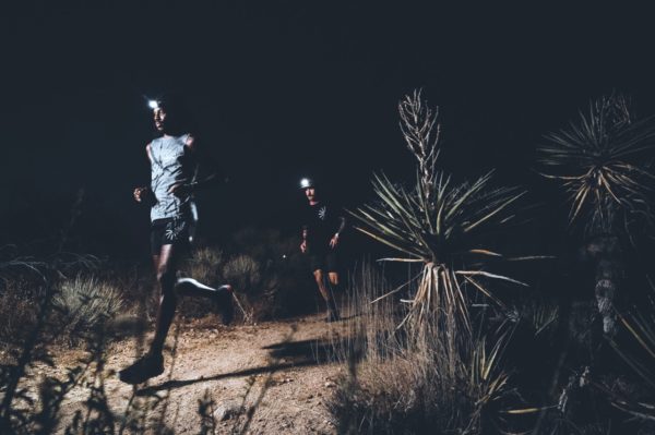 Roark CEO on Plans for New Performance Line