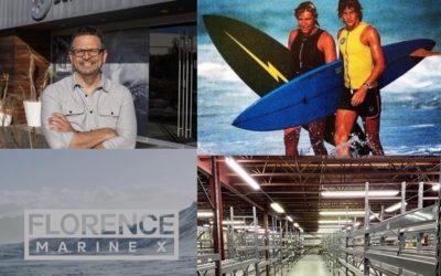 Top Viewed Stories of 2020