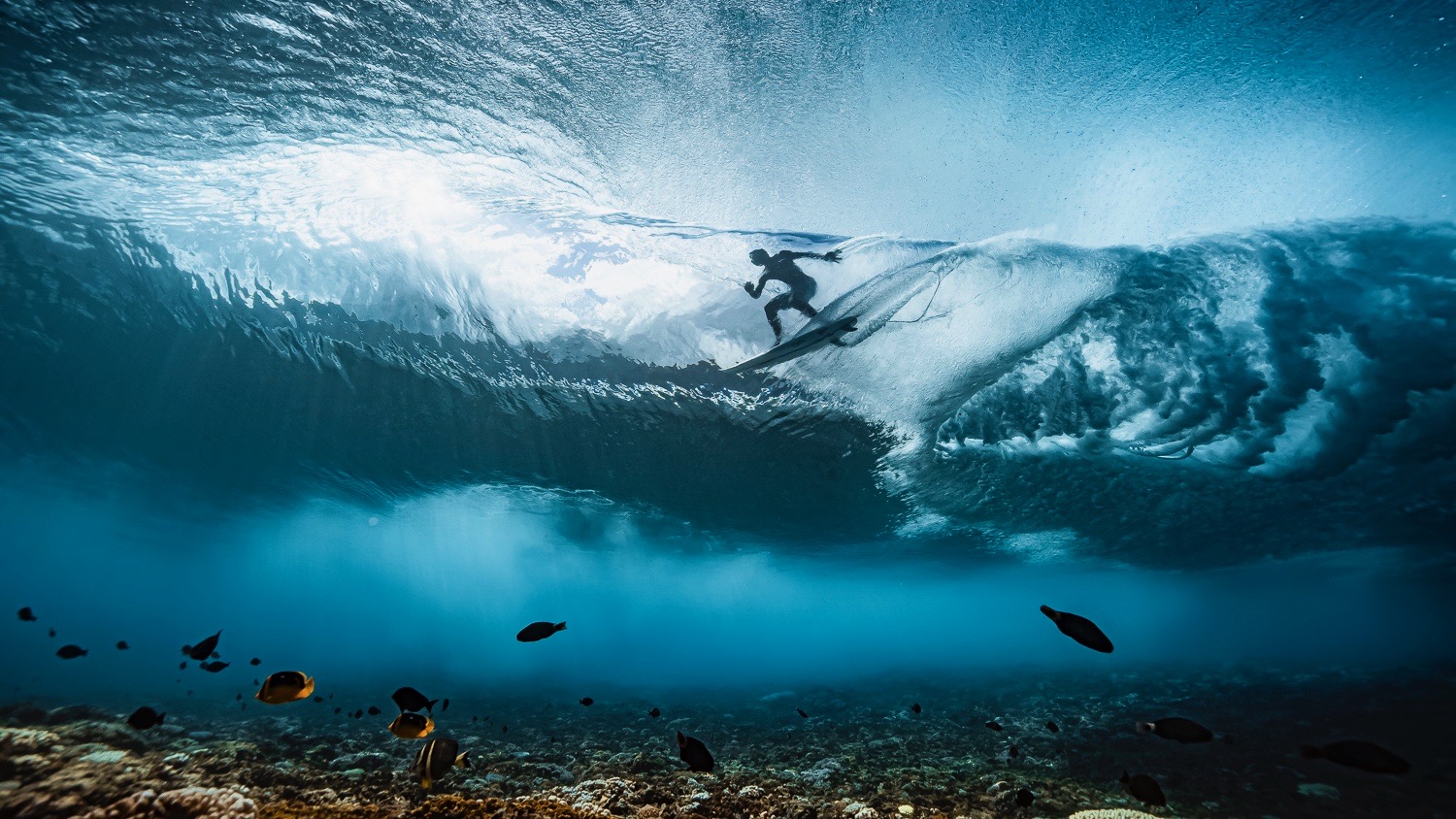 benthouard 20190512 underwater 0019