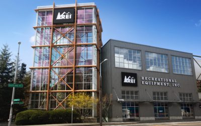 REI 2021 Financial Results vs. 2019