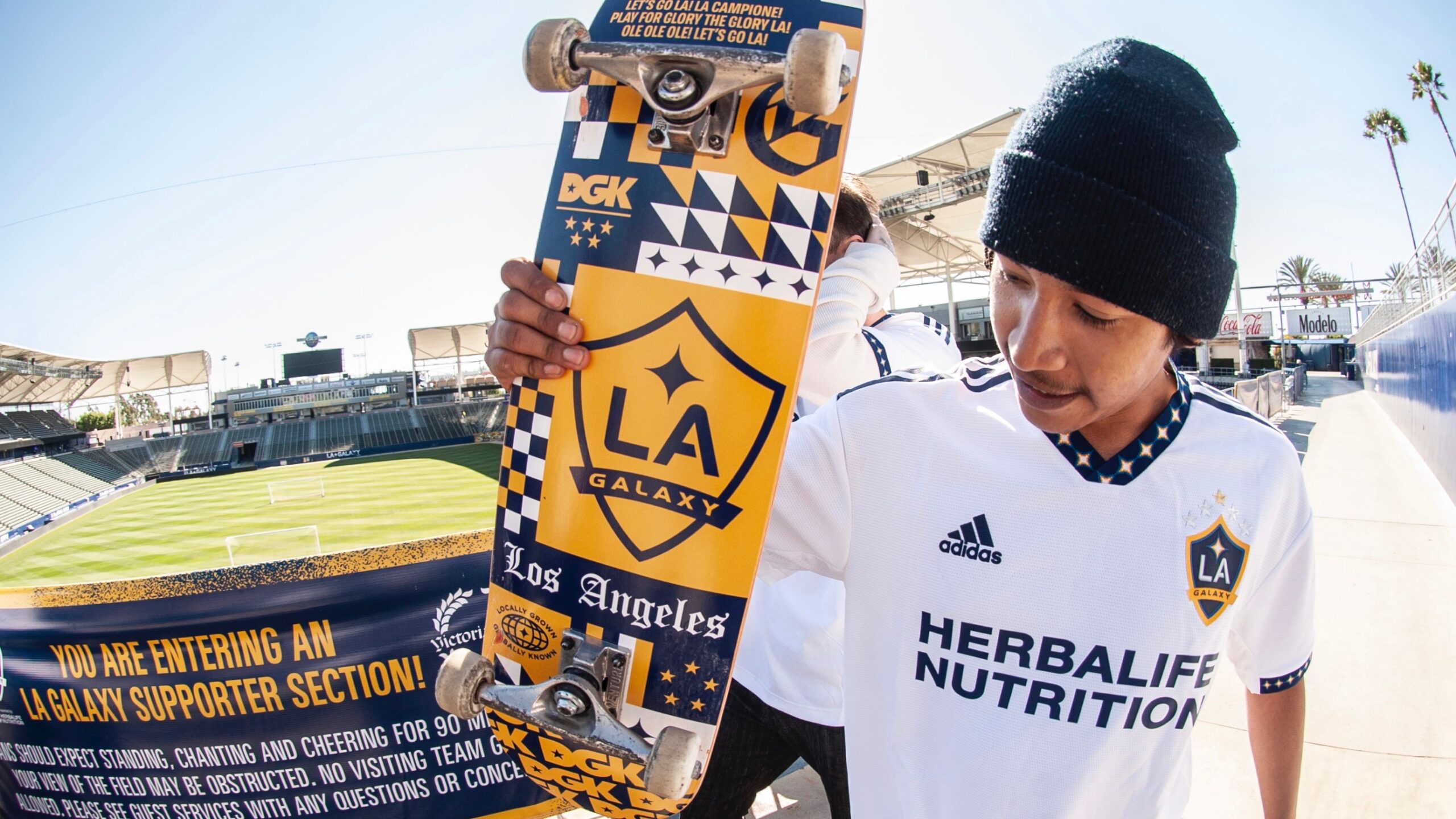 DGKxLAGalaxy 1