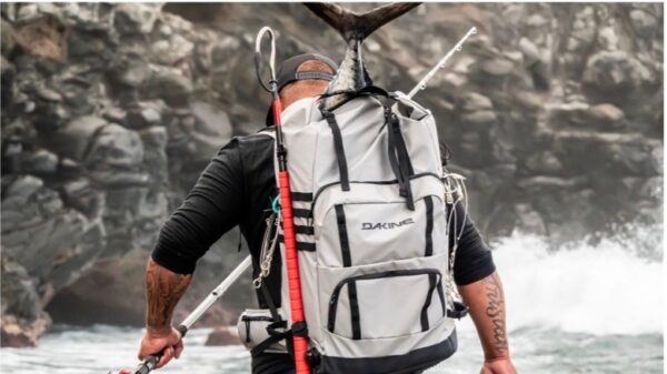 Dakine Relaunches Fish Category