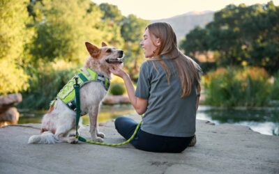 Petco and Backcountry Launch Outdoor Pet Collection