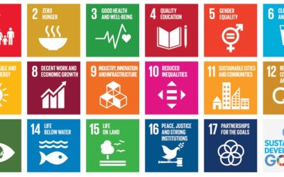 Derek Sabori of The Underswell Makes a Case for Sustainability Training at Your Brand